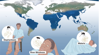 This Year the Medicine Nobel Prize Went to a Pair of Parasite Poisons